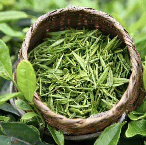 How to Dry Herbs for Tea